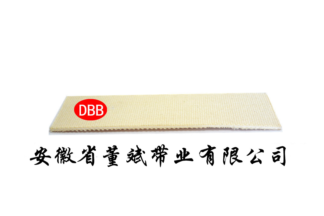 2mmPVC双面细帆布带.